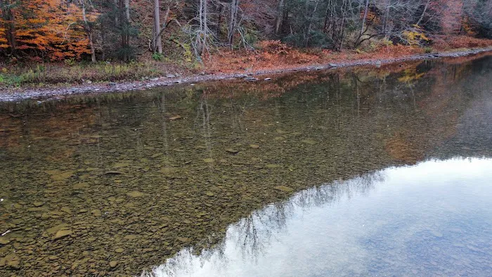 Tiadaghton Campground Picture 2