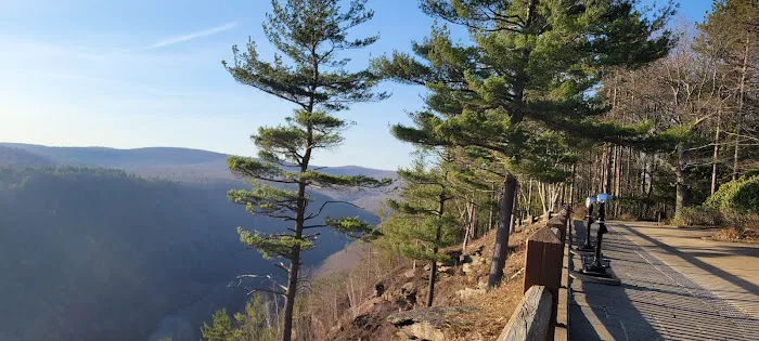 Tiadaghton Campground Picture 1