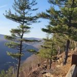 Tiadaghton Campground