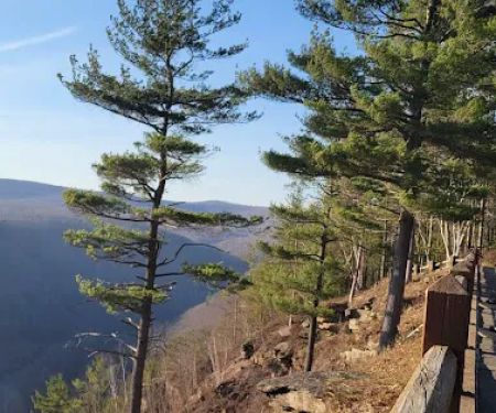 Tiadaghton Campground