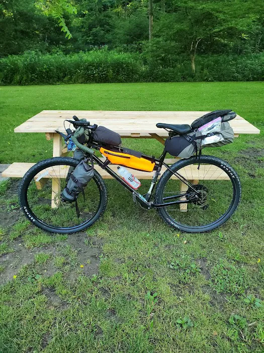 Tiadaghton Campground Picture 7