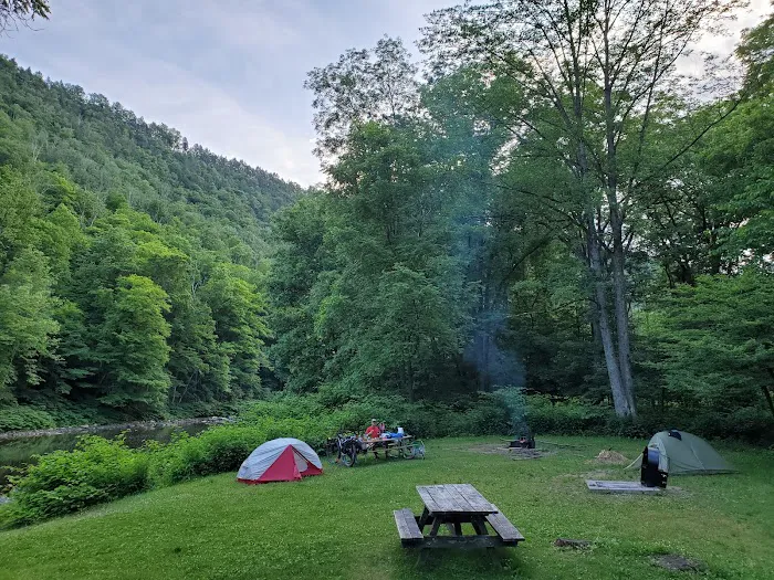 Tiadaghton Campground Picture 9