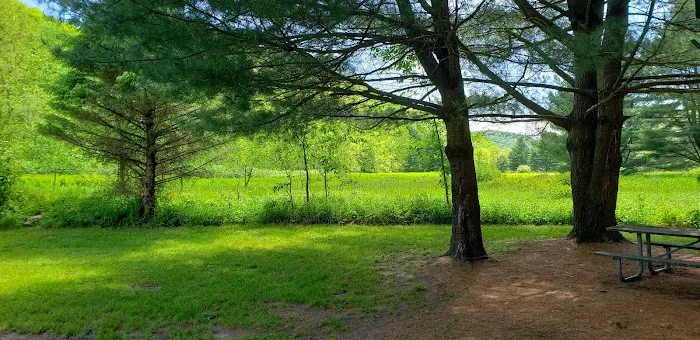 Hoffman Campground Picture 5