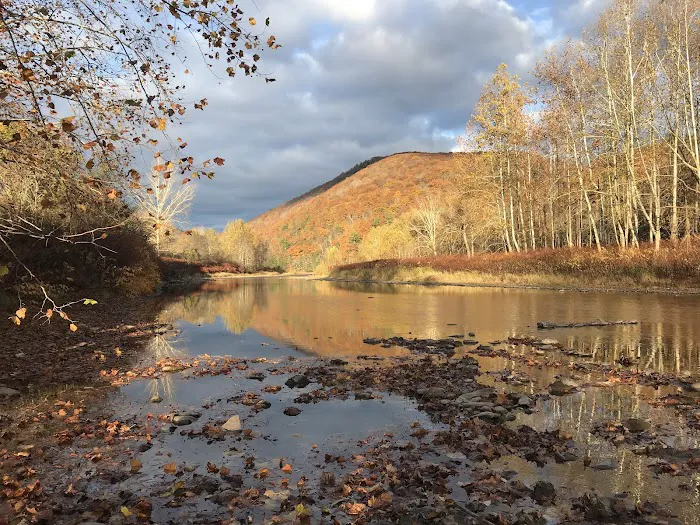 Hoffman Campground Picture 9