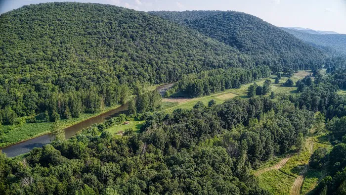 Hoffman Campground Picture 8