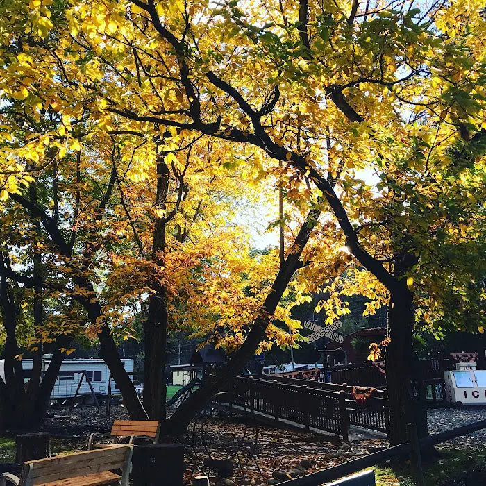 Pettecote Junction Campground Picture 10