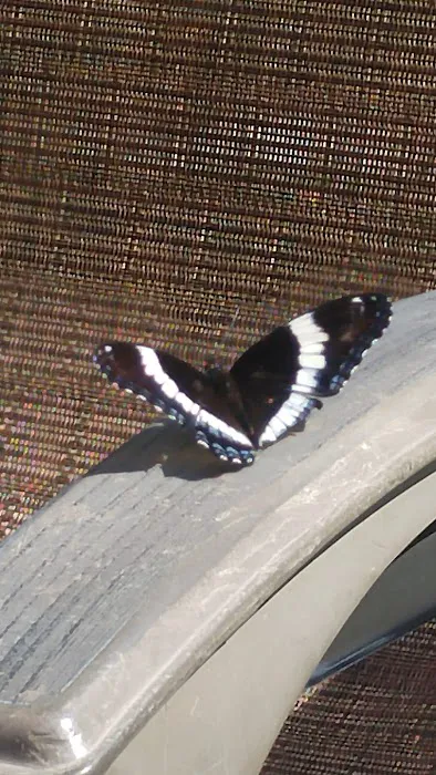 Cardinal Campground Picture 1