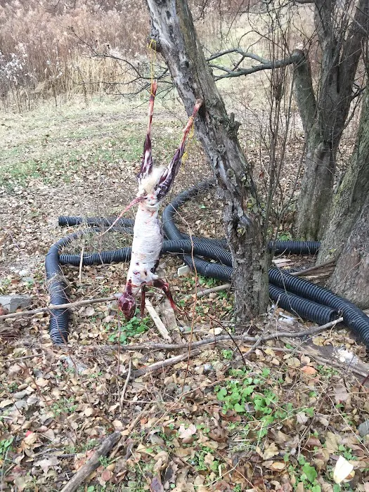 Leh-ZZ Hollow Lodge Picture 8