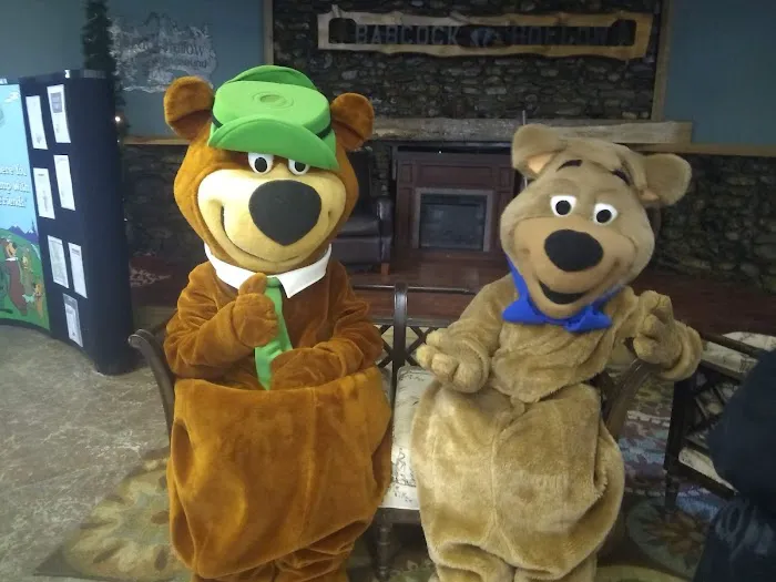 Jellystone Park of the Finger Lakes @ Babcock Hollow Picture 3