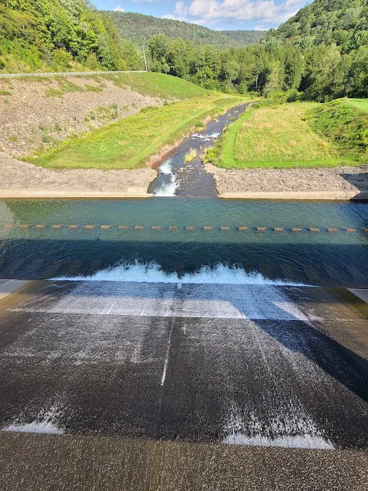 Lyman Run Lower Campgrounds Picture 8