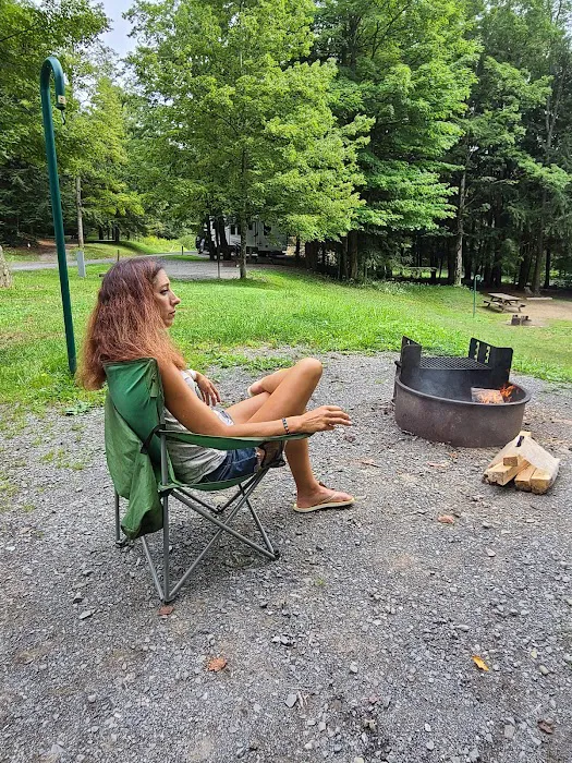 Lyman Run Lower Campgrounds Picture 10