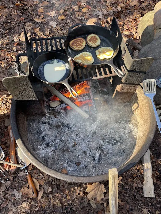 Lyman Run Lower Campgrounds Picture 9