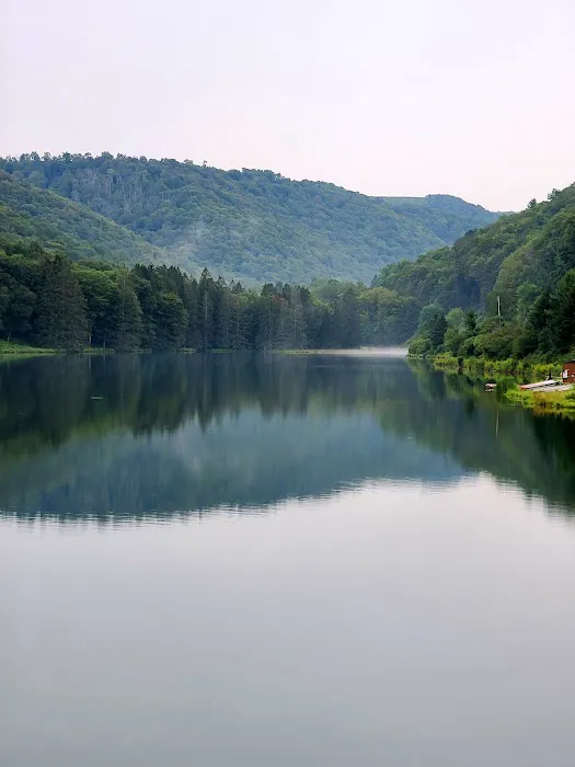 Lyman Run Lower Campgrounds Picture 1