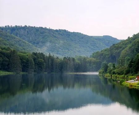 Lyman Run Lower Campgrounds