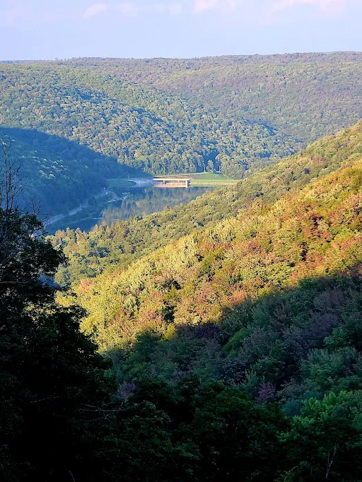 Lyman Run Lower Campgrounds Picture 5