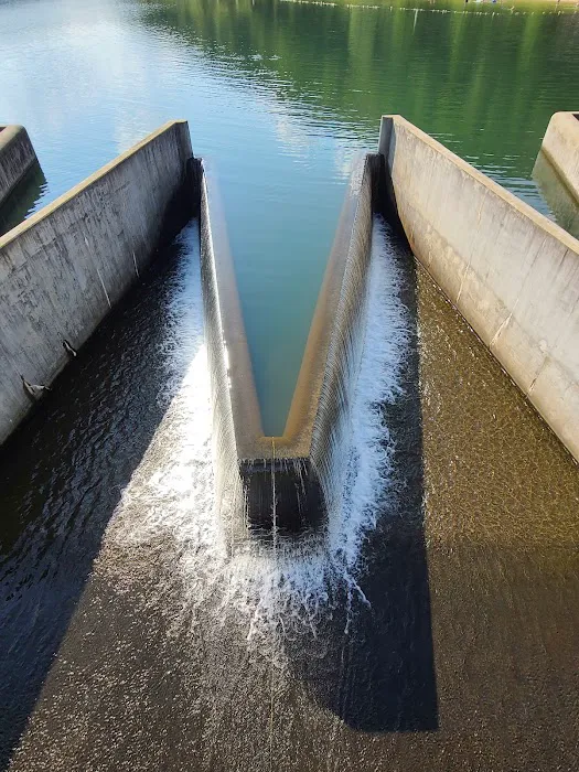 Lyman Run Lower Campgrounds Picture 3