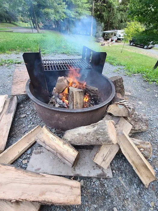 Lyman Run Lower Campgrounds Picture 4