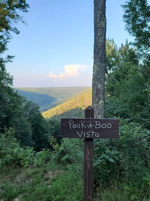 Lyman Run Lower Campgrounds Picture 7