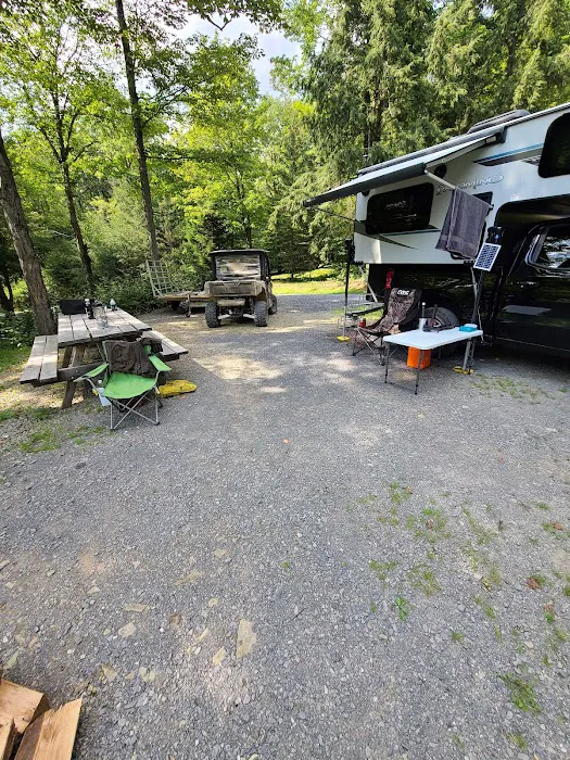 Lyman Run Lower Campgrounds Picture 6