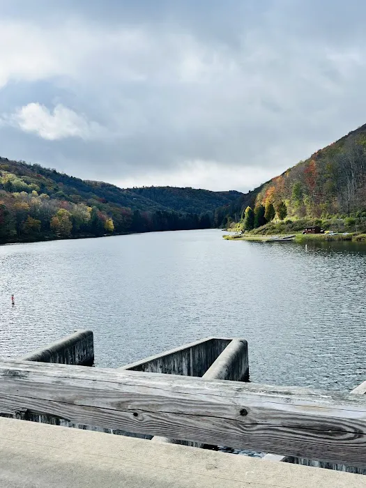 Lyman Run Daggett Campgrounds Picture 5