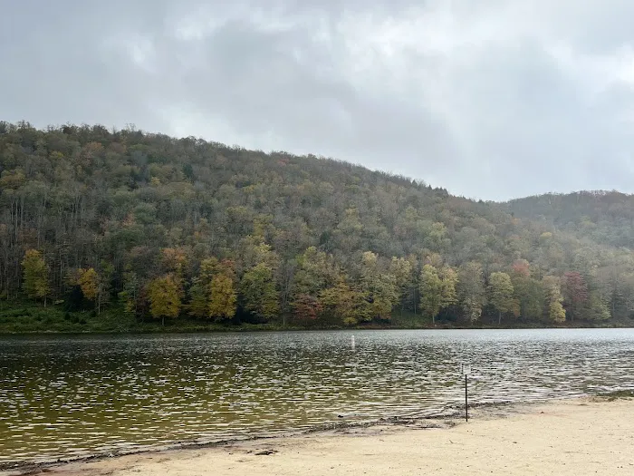 Lyman Run Daggett Campgrounds Picture 2