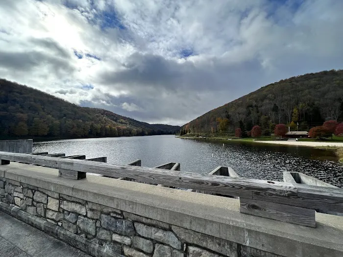 Lyman Run Daggett Campgrounds Picture 1