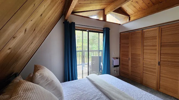 North Forest FLX Picture 1