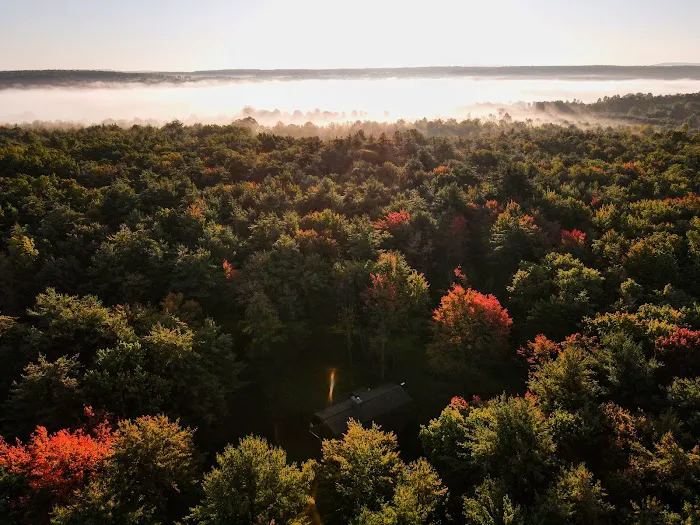 North Forest FLX Picture 6