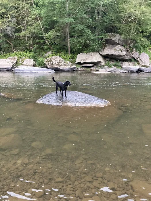 Bit of Heaven Campground Picture 5