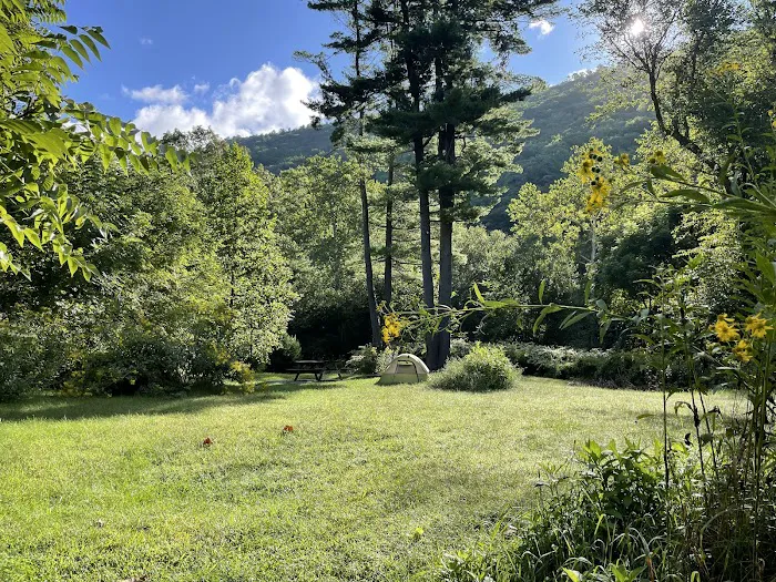 Tomb Flats Campground Picture 7