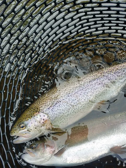 Tomb Flats Campground Picture 1