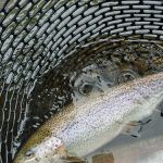 Tomb Flats Campground