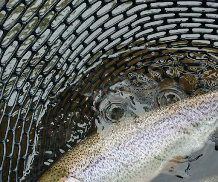 Tomb Flats Campground