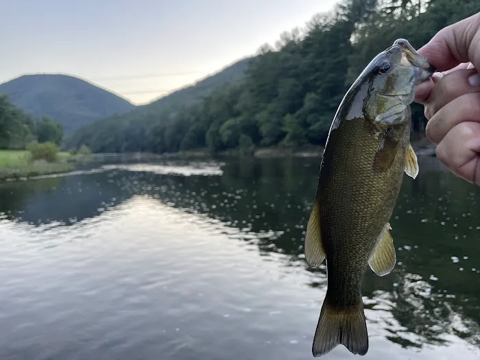 Tomb Flats Campground Picture 3