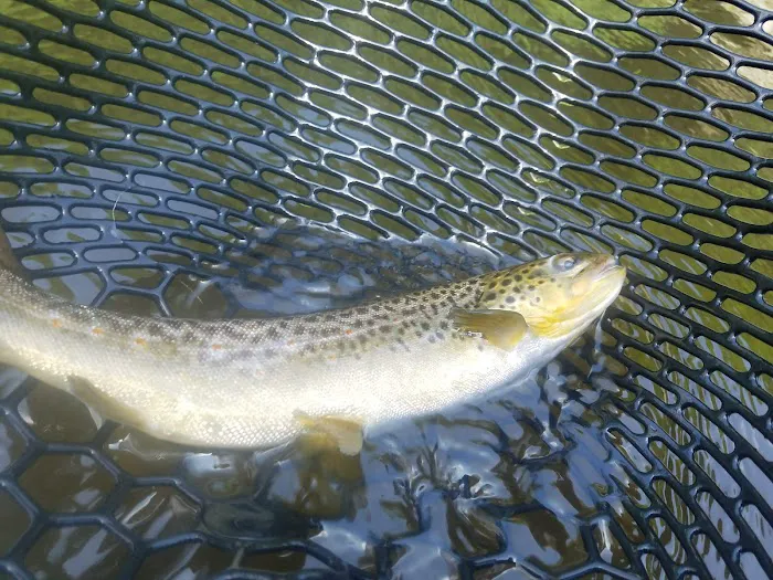 Tomb Flats Campground Picture 2