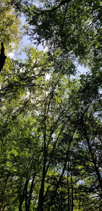 Tomb Flats Campground Picture 10