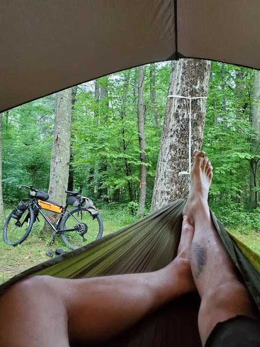 Black Walnut Bottom Campground Picture 8