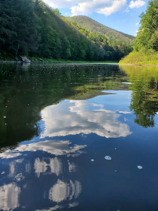 Black Walnut Bottom Campground Picture 1