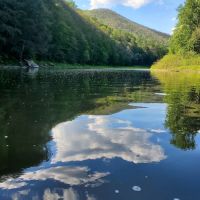 Black Walnut Bottom Campground ico