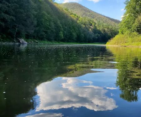 Black Walnut Bottom Campground