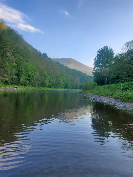 Black Walnut Bottom Campground Picture 3