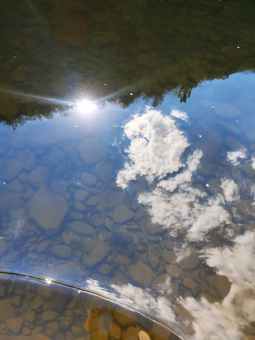 Black Walnut Bottom Campground Picture 7