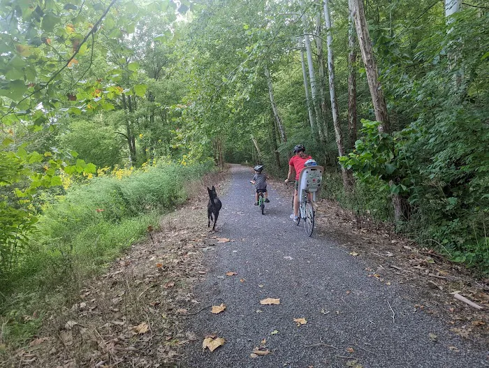 Black Walnut Bottom Campground Picture 9