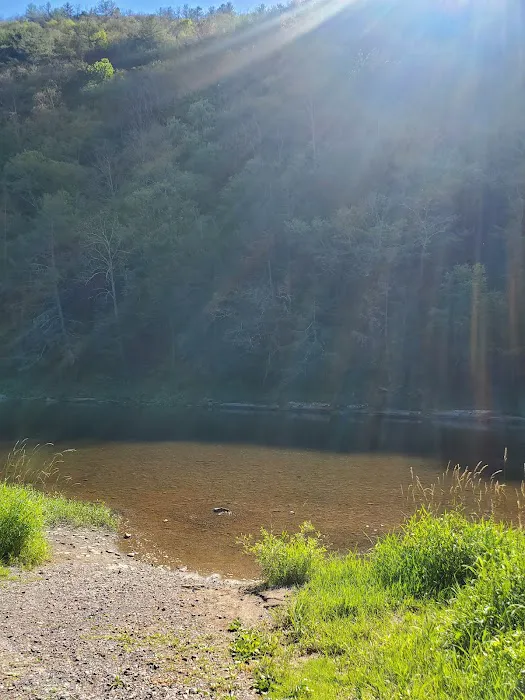 Black Walnut Bottom Campground Picture 2