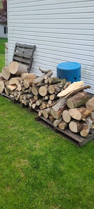 Haneyville Campground Picture 1