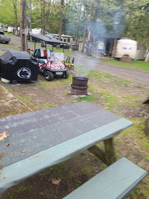 Haneyville Campground Picture 7