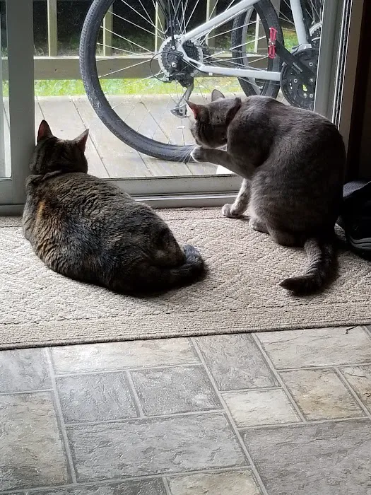 North 40 Campground Picture 7