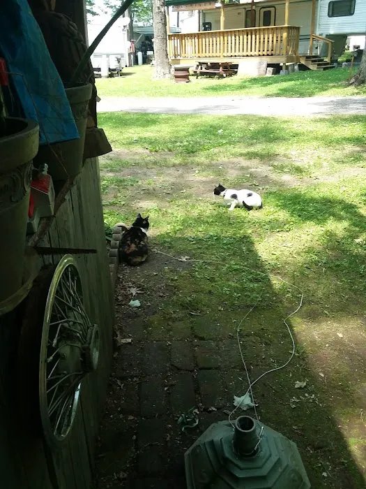 Lost Acres Camping Resort/Eatery Picture 6