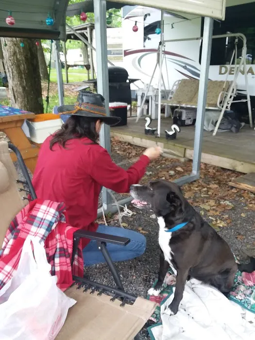 Lost Acres Camping Resort/Eatery Picture 8