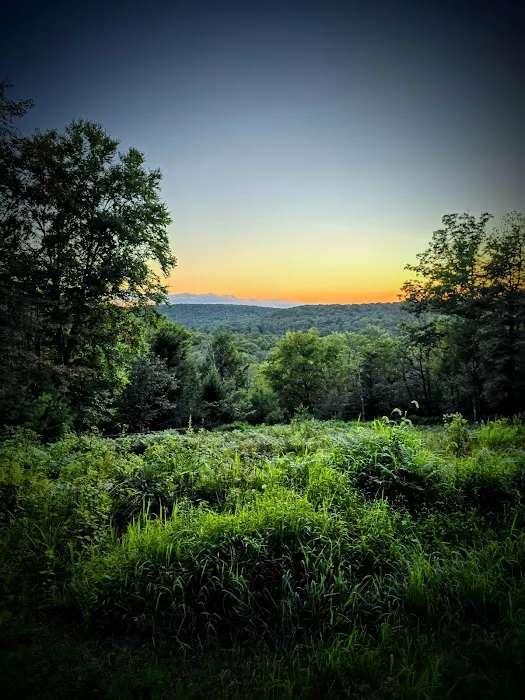 Lost Acres Camping Resort/Eatery Picture 7